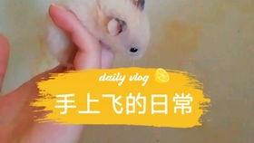 娱乐圈吃瓜背景板是谁