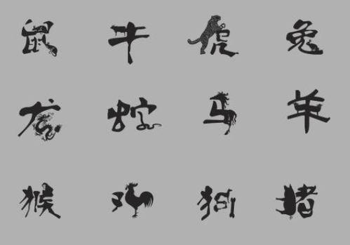 八卦属鼠的运势