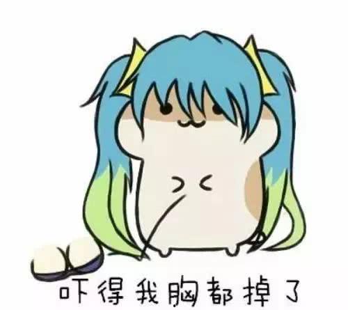 表情包四大霸主
